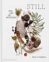 STILL. THE ART OF NOTICING