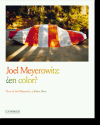JOEL MEYEROWITZ. EN COLOR?