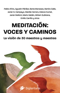 MEDITACION: VOCES Y CAMINOS. LA VISION DE 30 MAESTROS Y MAE