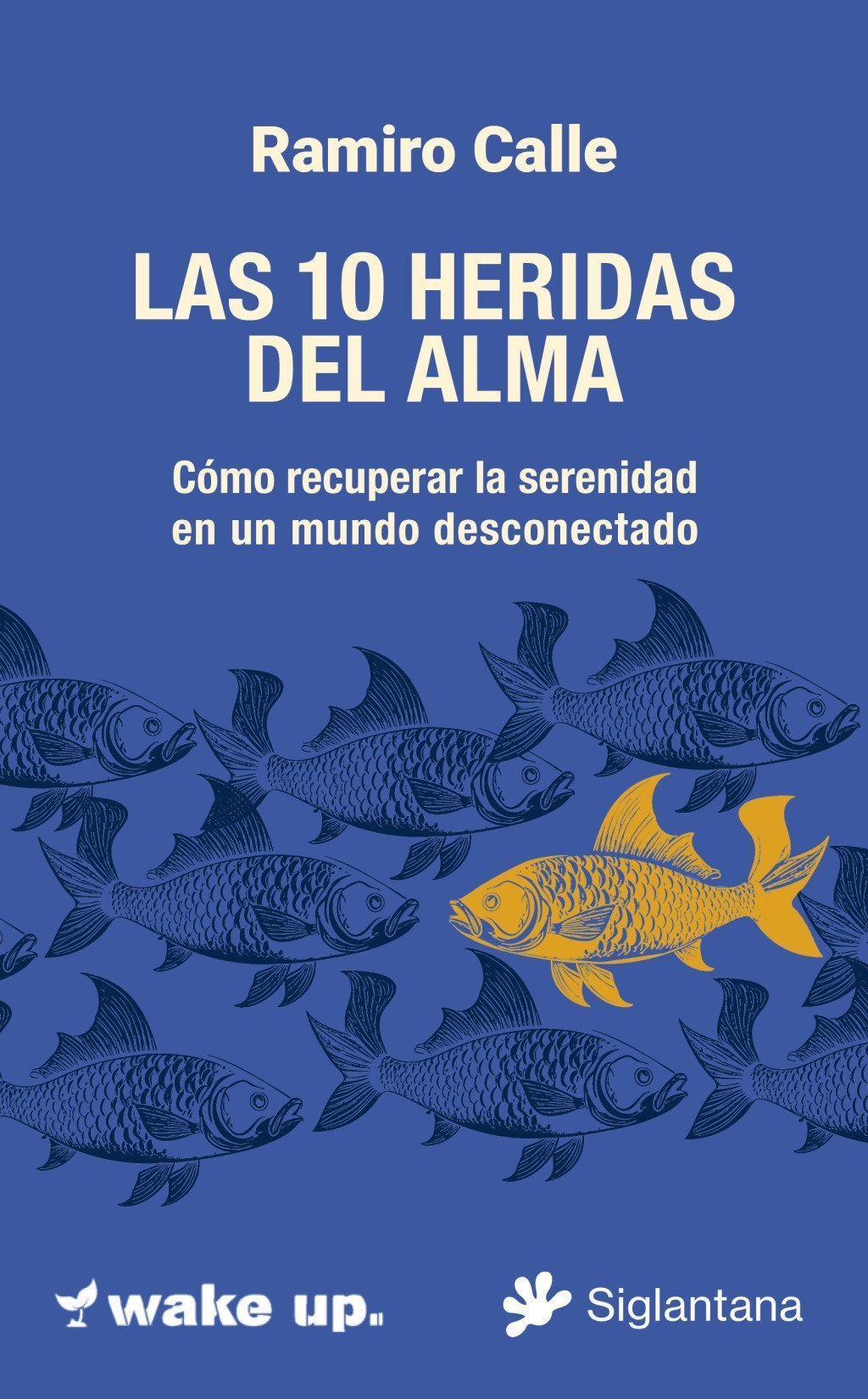 10 HERIDAS DEL ALMA, LAS. COMO RECUPERAR LA SERENIDAD EN UN MUNDO DESCONECTADO