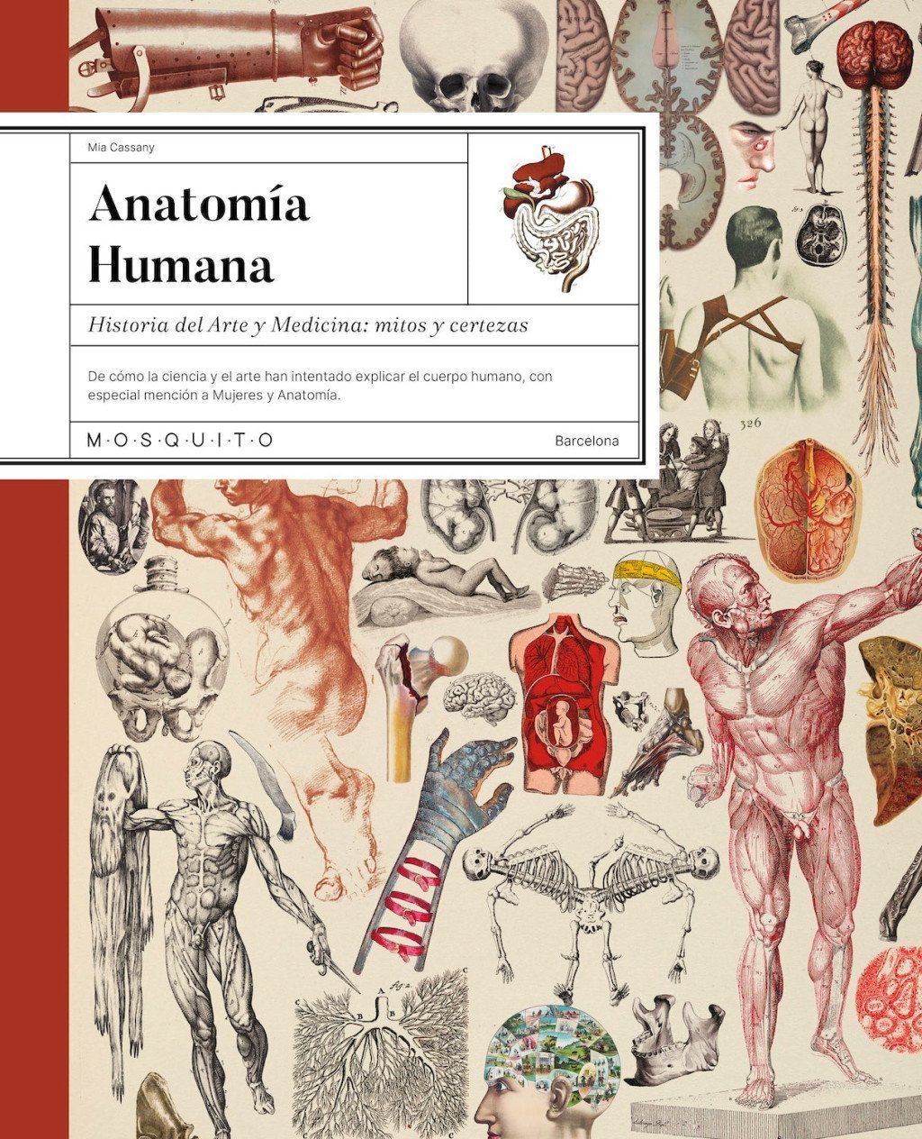 ANATOMÍA HUMANA. HISTORIA DEL ARTE Y MEDICINA: MITOS Y CERTEZAS
