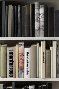 VIAJE AL CENTRO DE LA FABULA