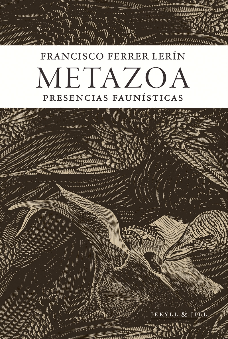 METAZOA. PRESENCIAS FAUNÍSTICAS