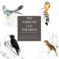 MIS AMIGOS LOS PAJAROS