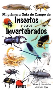MI PRIMERA GUIA CAMPO, 4 INSECTOS / INVERTEBRADOS