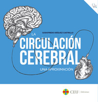 CIRCULACION CEREBRAL, LA. UNA APROXIMACION