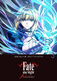 FATE/STAY NIGHT: UNLIMITED BLADE WORDS, 3