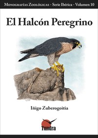 HALCON PEREGRINO, EL