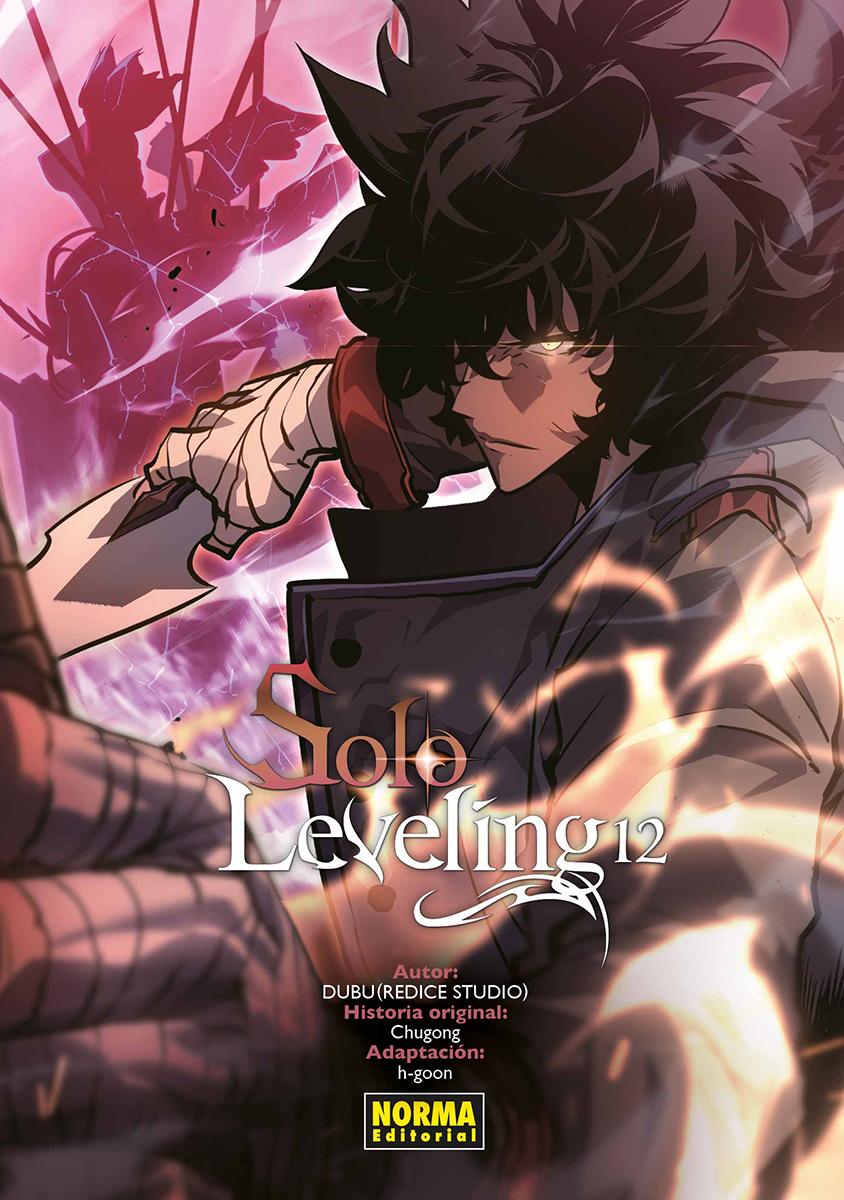 SOLO LEVELING,12