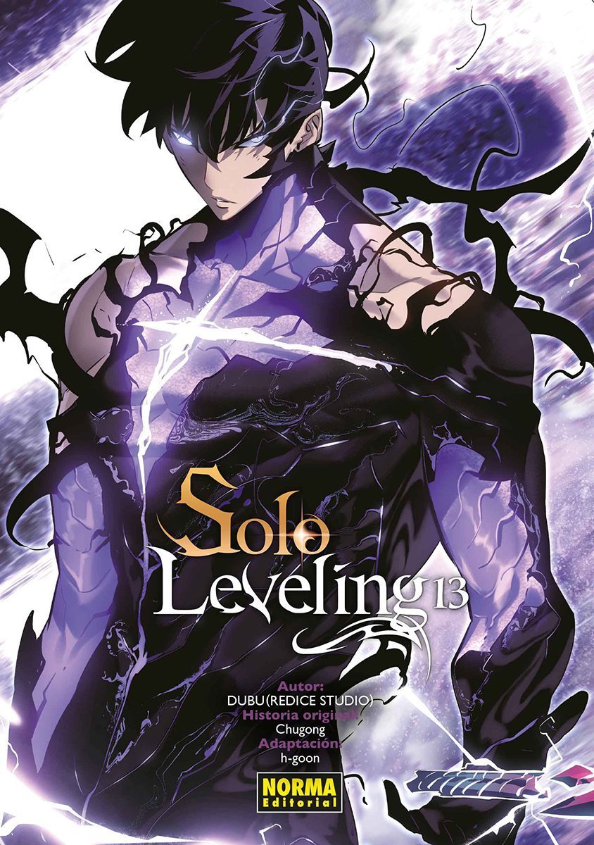 SOLO LEVELING,13