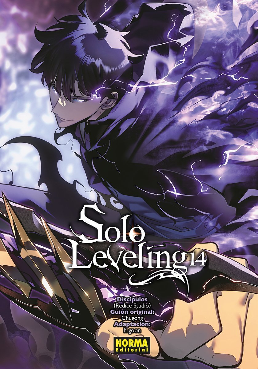 SOLO LEVELING,14