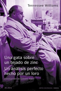 UNA GATA SOBRE UN TEJADO DE ZINC