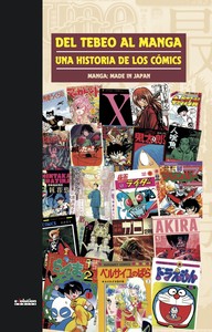 DEL TEBEO AL MANGA,11 UNA HISTORIA COMICS