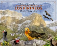 CUADERNO MONTAÑA DE MARAVILLAS NATURALES PIRINEOS