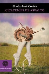 CICATRICES DE ASFALTO