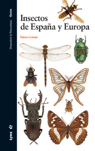 INSECTOS ESPAÑA Y EUROPA