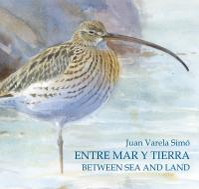 ENTRE MAR Y TIERRA