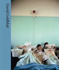 DAVID GOLDBLATT. SIN SEGUNDAS INTENCIONES