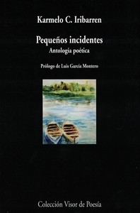 PEQUEÑOS INCIDENTES. ANTOLOGIA POETICA