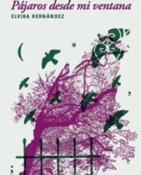 PAJAROS DESDE MI VENTANA