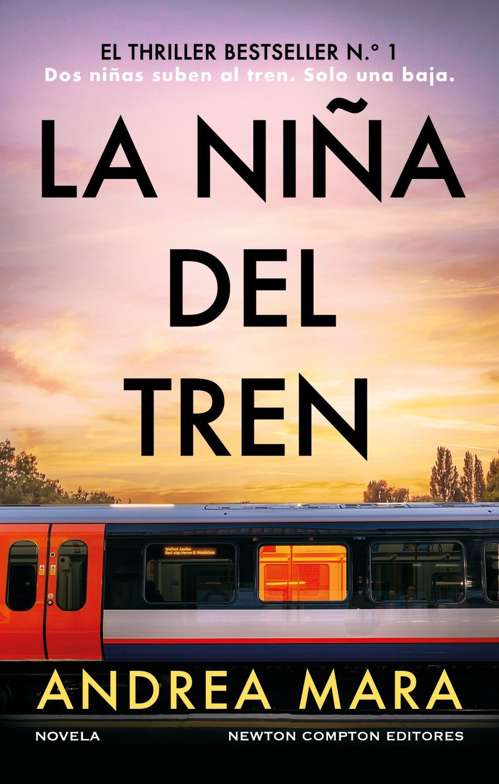 NIÑA DEL TREN, LA