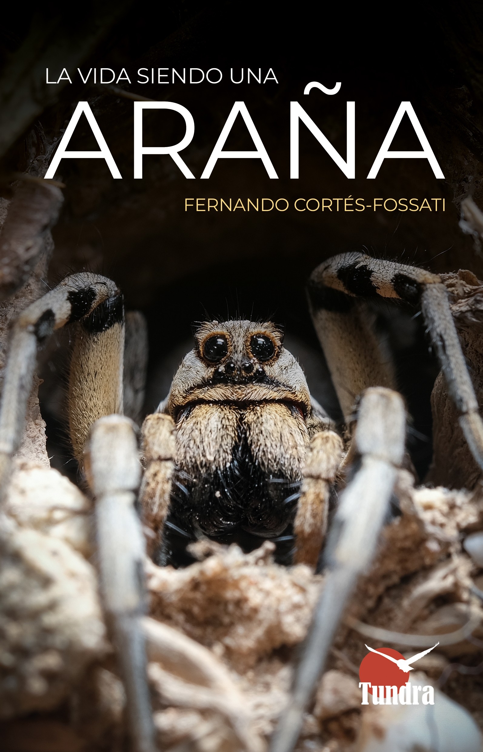 VIDA SIENDO UNA ARAÑA, LA