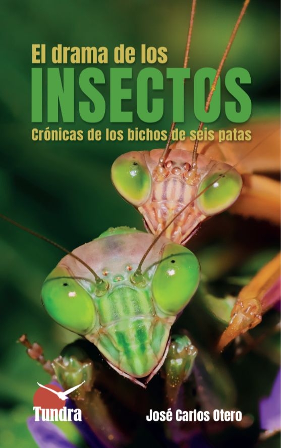 DRAMA DE LOS INSECTOS. CRONICAS DE LOS BICHOS DE SEIS PATAS