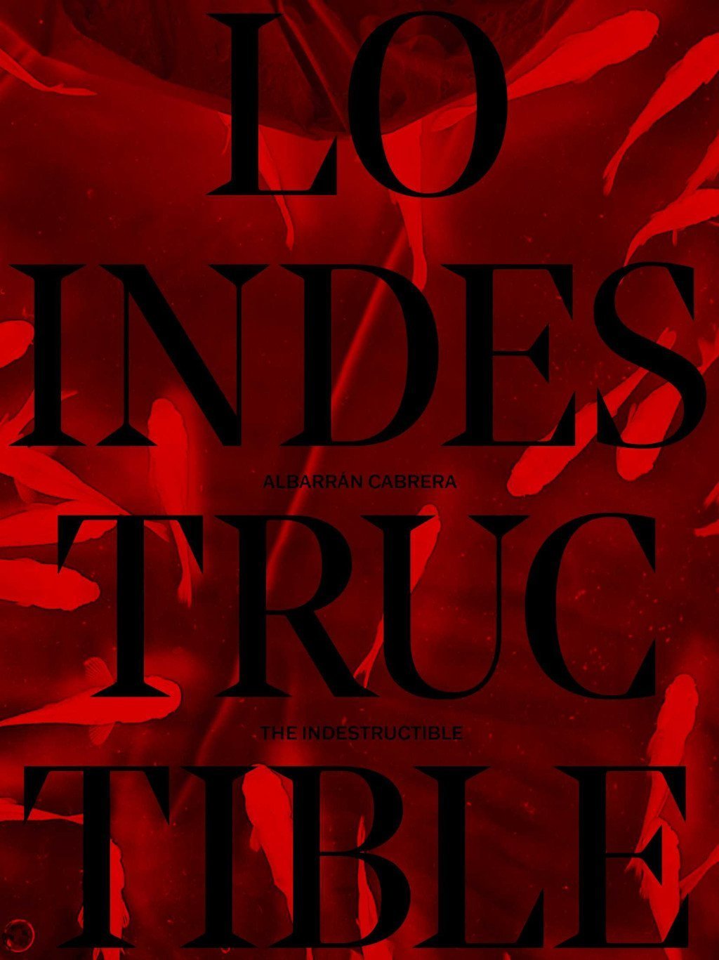 LO INDESTRUCTIBLE. CUADERNO DE ARTISTA.