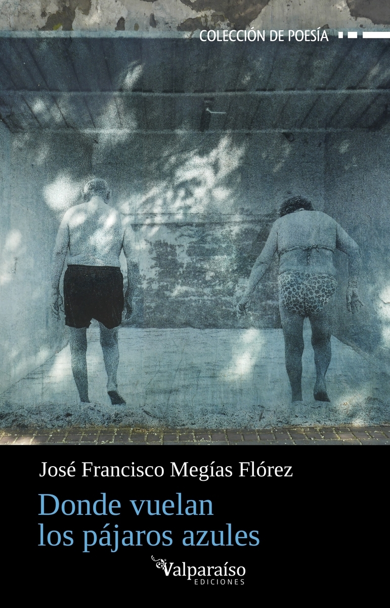 DONDE VUELAN LOS PAJAROS AZULES