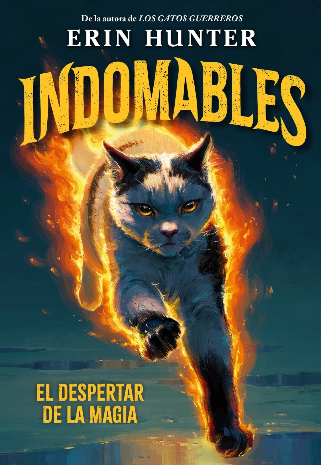 INDOMABLES, 1 EL DESPERTAR DE LA MAGIA