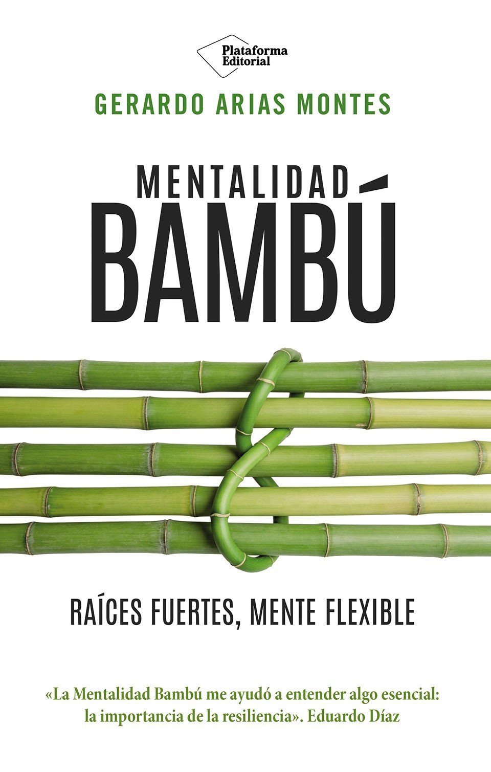 MENTALIDAD BAMBÚ. RAÍCES FUERTES, MENTE FLEXIBLE