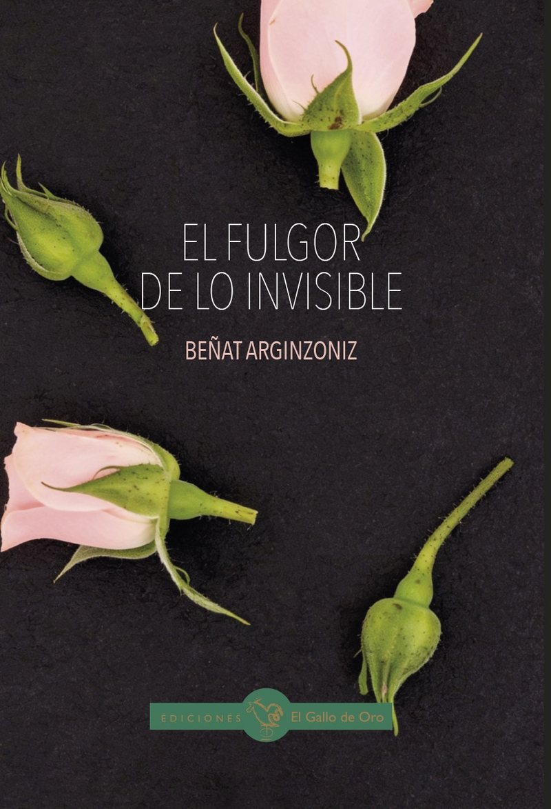 FULGOR DE LO INVISIBLE, EL